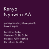 Kenya Nyawira AA